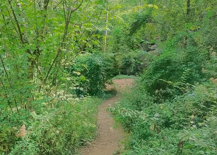 Le Castel D'olmes Laroque-dʼOlmes