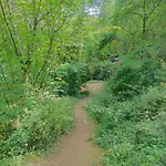 Le Castel D'olmes Laroque-dʼOlmes