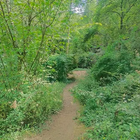 Le Castel D'olmes Laroque-d'Olmes