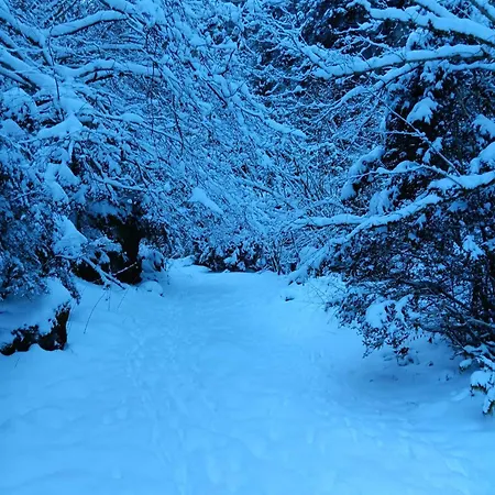 Hotel Le Castel D'olmes 2*