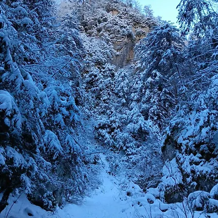 Hotel Le Castel D'olmes Laroque-d'Olmes