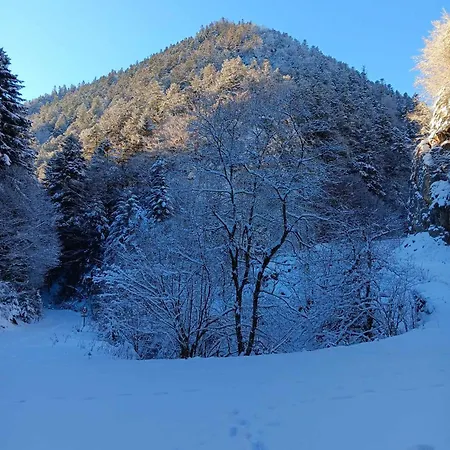 Le Castel D'olmes 2* Laroque-dʼOlmes
