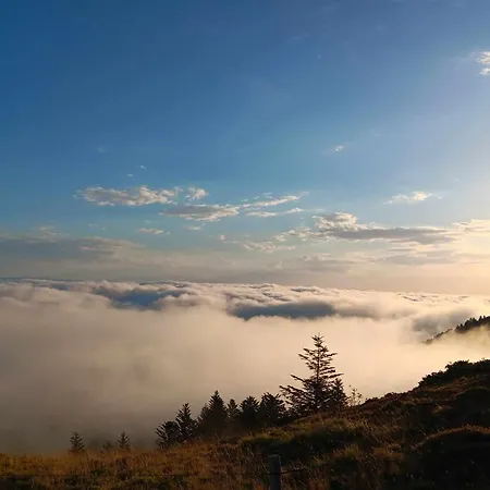 Le Castel D'olmes Hotel