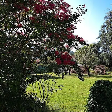 Le Castel D'olmes Hotel Laroque-dʼOlmes