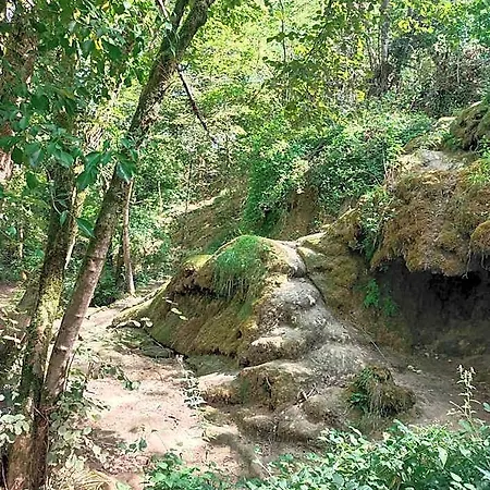 Le Castel D'olmes 2* Laroque-d'Olmes