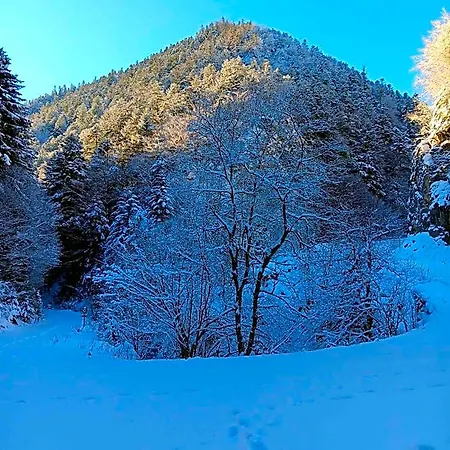 Le Castel D'olmes 2* Laroque-d'Olmes